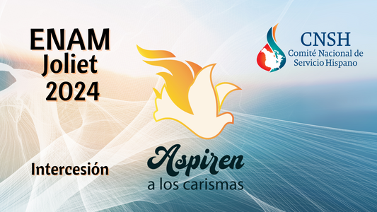 ENAM Joliet 2024 - Intercesión